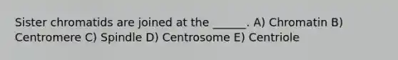 Sister chromatids are joined at the ______. A) Chromatin B) Centromere C) Spindle D) Centrosome E) Centriole