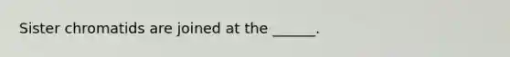 Sister chromatids are joined at the ______.