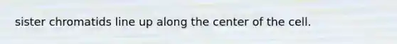 sister chromatids line up along the center of the cell.