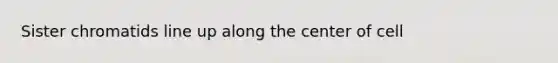 Sister chromatids line up along the center of cell