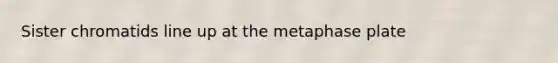 Sister chromatids line up at the metaphase plate
