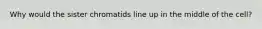 Why would the sister chromatids line up in the middle of the cell?