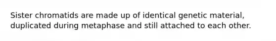 Sister chromatids are made up of identical genetic material, duplicated during metaphase and still attached to each other.