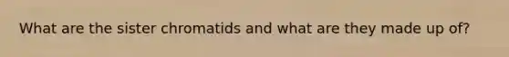 What are the sister chromatids and what are they made up of?