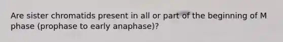 Are sister chromatids present in all or part of the beginning of M phase (prophase to early anaphase)?