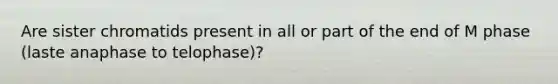 Are sister chromatids present in all or part of the end of M phase (laste anaphase to telophase)?