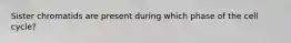 Sister chromatids are present during which phase of the cell cycle?