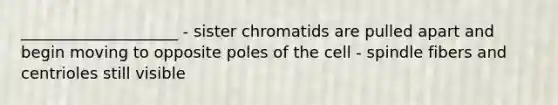 ____________________ - sister chromatids are pulled apart and begin moving to opposite poles of the cell - spindle fibers and centrioles still visible