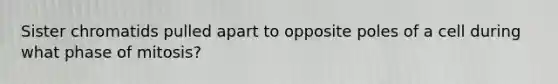 Sister chromatids pulled apart to opposite poles of a cell during what phase of mitosis?