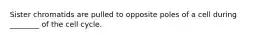 Sister chromatids are pulled to opposite poles of a cell during ________ of the cell cycle.