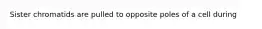Sister chromatids are pulled to opposite poles of a cell during