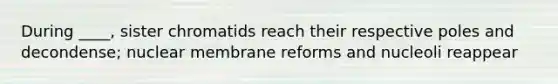 During ____, sister chromatids reach their respective poles and decondense; nuclear membrane reforms and nucleoli reappear