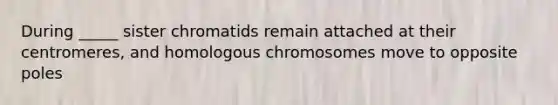 During _____ sister chromatids remain attached at their centromeres, and homologous chromosomes move to opposite poles