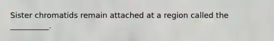 Sister chromatids remain attached at a region called the __________.