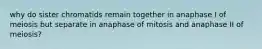 why do sister chromatids remain together in anaphase I of meiosis but separate in anaphase of mitosis and anaphase II of meiosis?