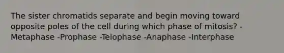 The sister chromatids separate and begin moving toward opposite poles of the cell during which phase of mitosis? -Metaphase -Prophase -Telophase -Anaphase -Interphase