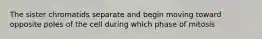 The sister chromatids separate and begin moving toward opposite poles of the cell during which phase of mitosis