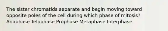 The sister chromatids separate and begin moving toward opposite poles of the cell during which phase of mitosis? Anaphase Telophase Prophase Metaphase Interphase