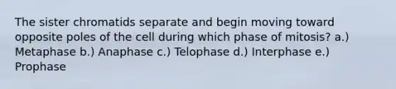 The sister chromatids separate and begin moving toward opposite poles of the cell during which phase of mitosis? a.) Metaphase b.) Anaphase c.) Telophase d.) Interphase e.) Prophase