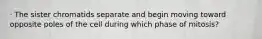 · The sister chromatids separate and begin moving toward opposite poles of the cell during which phase of mitosis?