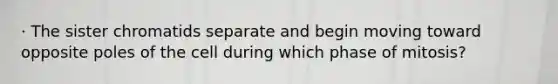 · The sister chromatids separate and begin moving toward opposite poles of the cell during which phase of mitosis?