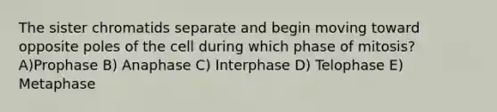 The sister chromatids separate and begin moving toward opposite poles of the cell during which phase of mitosis? A)Prophase B) Anaphase C) Interphase D) Telophase E) Metaphase