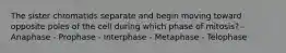 The sister chromatids separate and begin moving toward opposite poles of the cell during which phase of mitosis? - Anaphase - Prophase - Interphase - Metaphase - Telophase