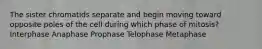 The sister chromatids separate and begin moving toward opposite poles of the cell during which phase of mitosis? Interphase Anaphase Prophase Telophase Metaphase