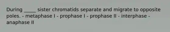 During _____ sister chromatids separate and migrate to opposite poles. - metaphase I - prophase I - prophase II - interphase - anaphase II