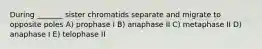 During _______ sister chromatids separate and migrate to opposite poles A) prophase I B) anaphase II C) metaphase II D) anaphase I E) telophase II