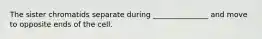The sister chromatids separate during _______________ and move to opposite ends of the cell.