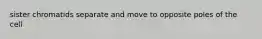 sister chromatids separate and move to opposite poles of the cell