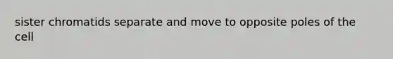 sister chromatids separate and move to opposite poles of the cell