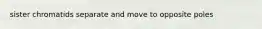 sister chromatids separate and move to opposite poles