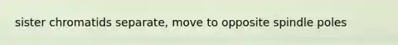 sister chromatids separate, move to opposite spindle poles