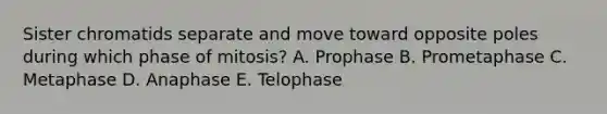 Sister chromatids separate and move toward opposite poles during which phase of mitosis? A. Prophase B. Prometaphase C. Metaphase D. Anaphase E. Telophase