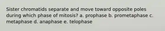 Sister chromatids separate and move toward opposite poles during which phase of mitosis? a. prophase b. prometaphase c. metaphase d. anaphase e. telophase