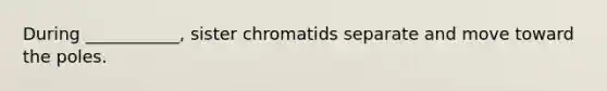 During ___________, sister chromatids separate and move toward the poles.