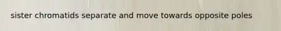 sister chromatids separate and move towards opposite poles