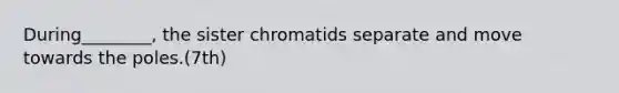 During________, the sister chromatids separate and move towards the poles.(7th)