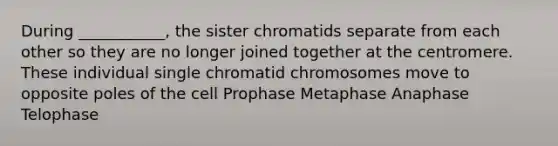 During ___________, the sister chromatids separate from each other so they are no longer joined together at the centromere. These individual single chromatid chromosomes move to opposite poles of the cell Prophase Metaphase Anaphase Telophase