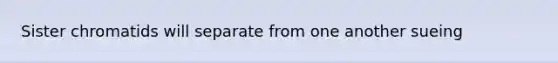 Sister chromatids will separate from one another sueing