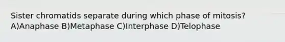 Sister chromatids separate during which phase of mitosis? A)Anaphase B)Metaphase C)Interphase D)Telophase