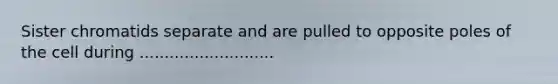 Sister chromatids separate and are pulled to opposite poles of the cell during ...........................