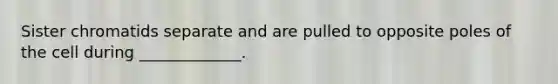 Sister chromatids separate and are pulled to opposite poles of the cell during _____________.