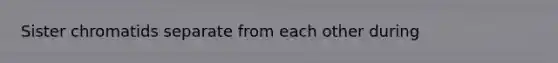 Sister chromatids separate from each other during