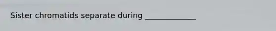 Sister chromatids separate during _____________
