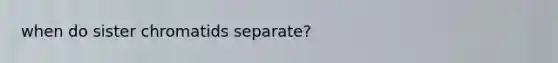 when do sister chromatids separate?
