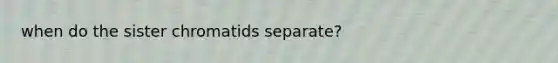 when do the sister chromatids separate?