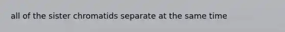 all of the sister chromatids separate at the same time